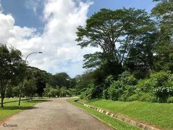 Holland Green (D10), Detached #460175991